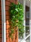 2pcs Artificial Hanging Plants Fake Hanging Greenery Leaves Faux Ivy Vine for Indooor Outdoor Decor Home Room